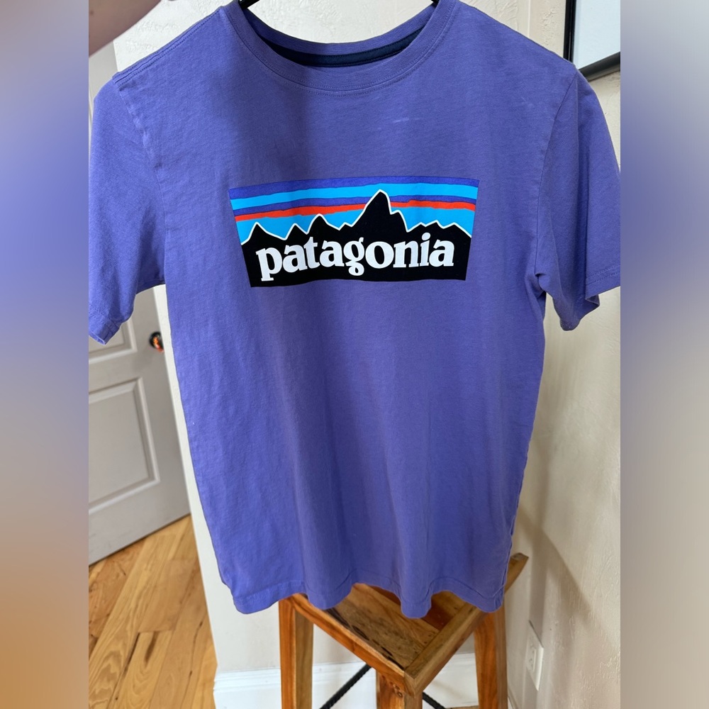 Kids Purple Patagonia T-shirt - Kids Large (12)